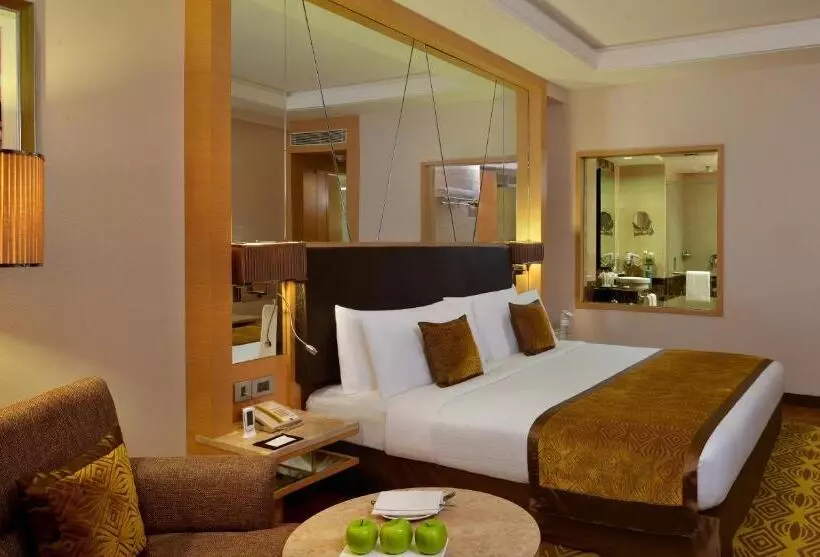 エクゼクティブルーム, Radisson Hotel Kandla