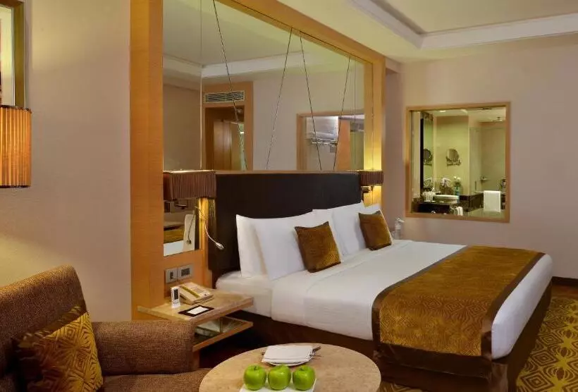 エクゼクティブルーム, Radisson Hotel Kandla