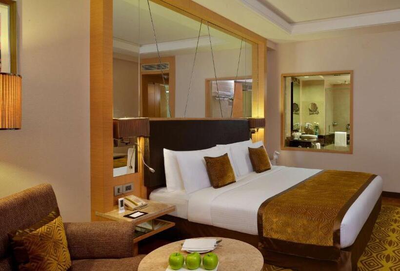 行政房间, Radisson Hotel Kandla