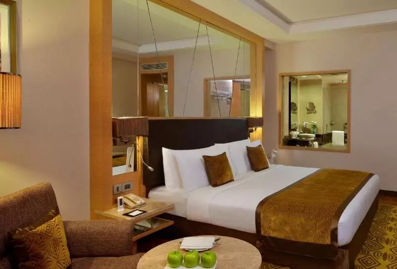 エクゼクティブルーム, Radisson Hotel Kandla