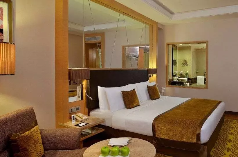 エクゼクティブルーム, Radisson Hotel Kandla