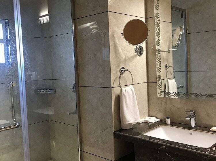 סוויטת ג'וניור, Radisson Hotel Kandla