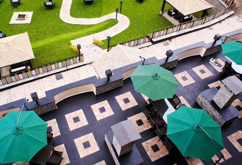 스위트, The Vintage Gulmarg