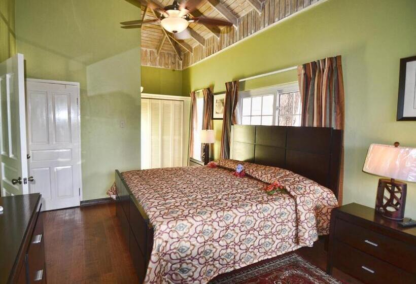 سوییت سوپریور, Tropical Lagoon Resort