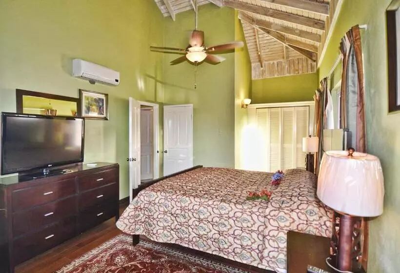 سوییت سوپریور, Tropical Lagoon Resort
