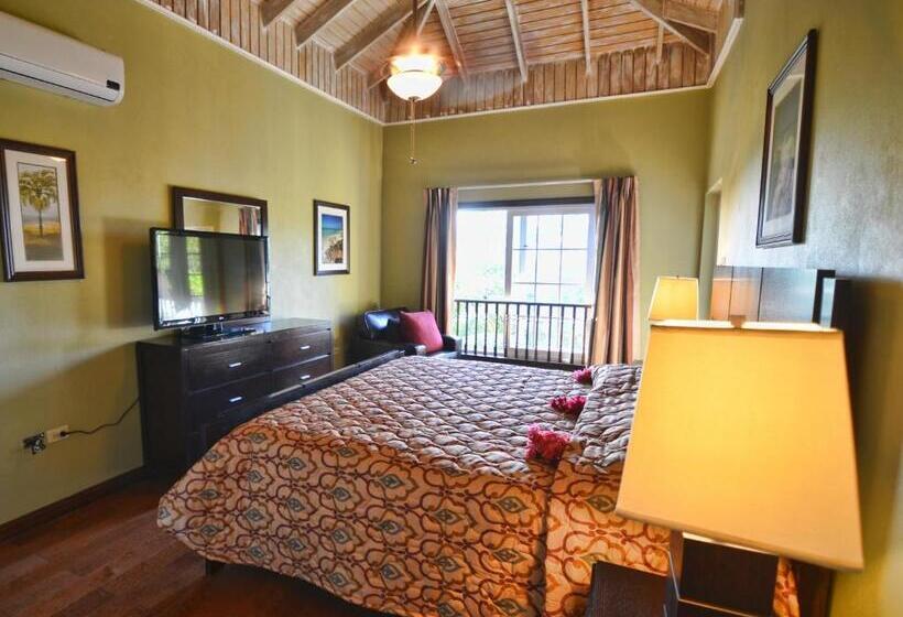 سوییت جونیور, Tropical Lagoon Resort