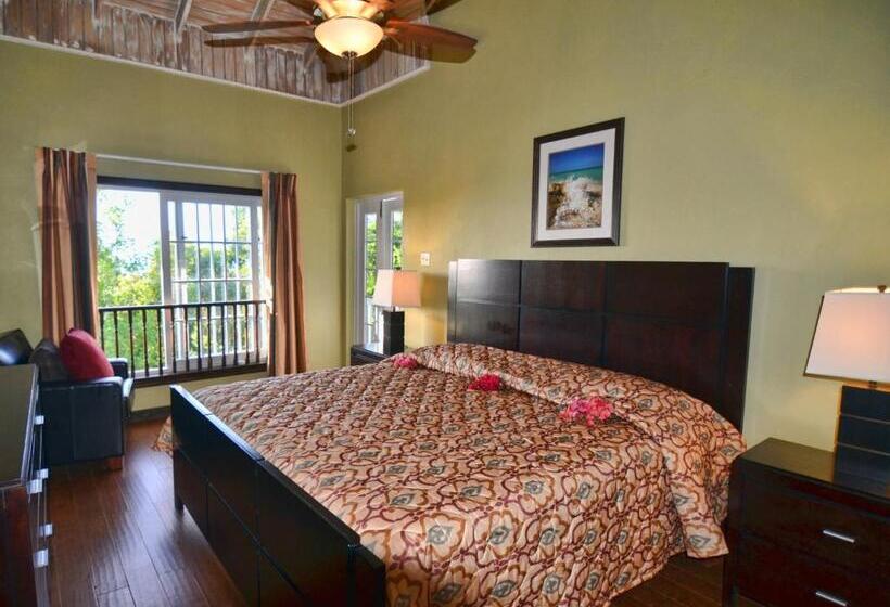 سوییت جونیور, Tropical Lagoon Resort