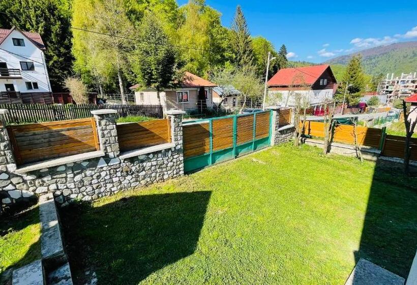 ビラホテル１ベッドルーム, Vila Kira Buşteni