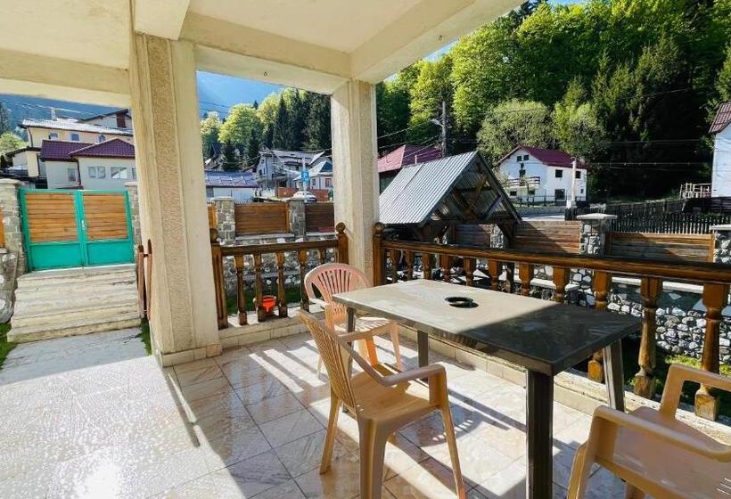 ビラホテル１ベッドルーム, Vila Kira Buşteni