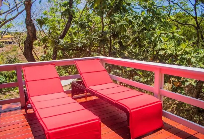سوییت با چشم‌انداز باغ, And Dive Center Roatan Yacht Club