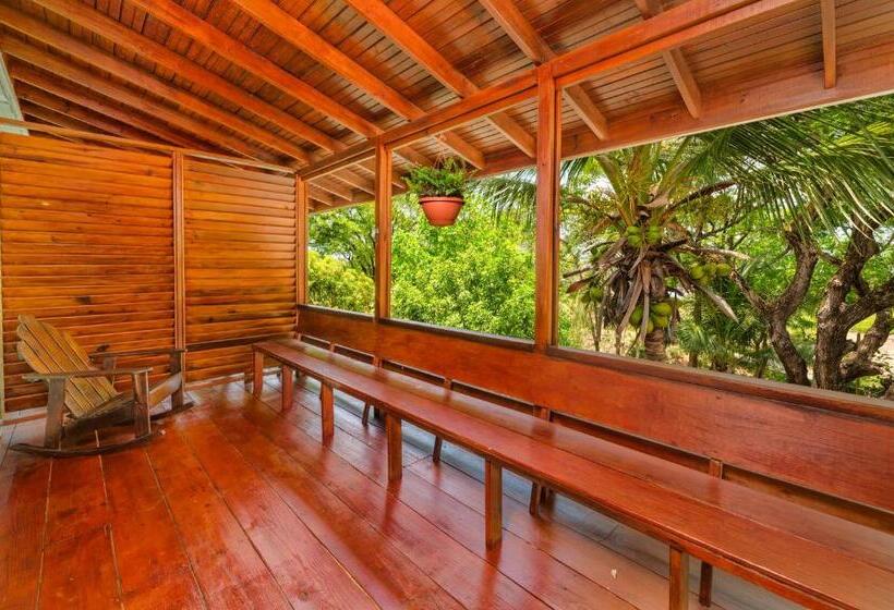 اتاق لوکس, And Dive Center Roatan Yacht Club