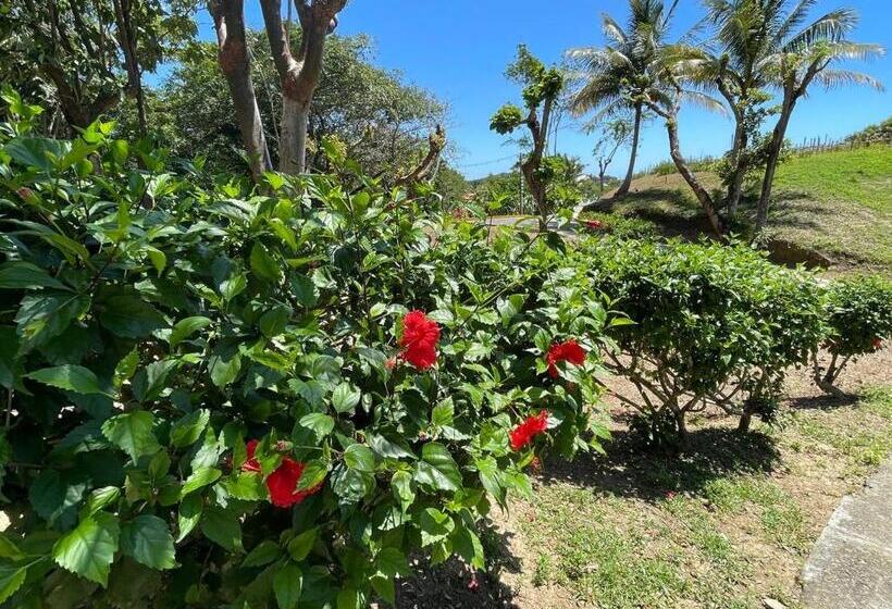 اتاق لوکس, And Dive Center Roatan Yacht Club