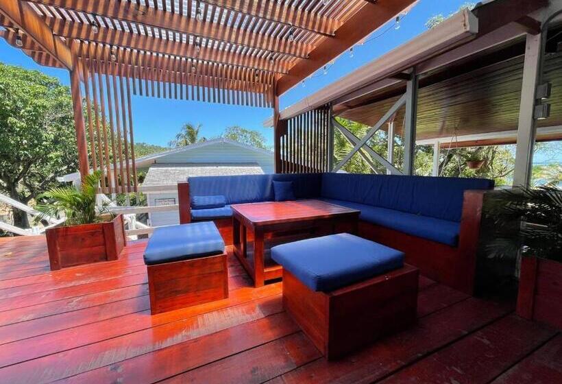 سوییت با چشم‌انداز باغ, And Dive Center Roatan Yacht Club