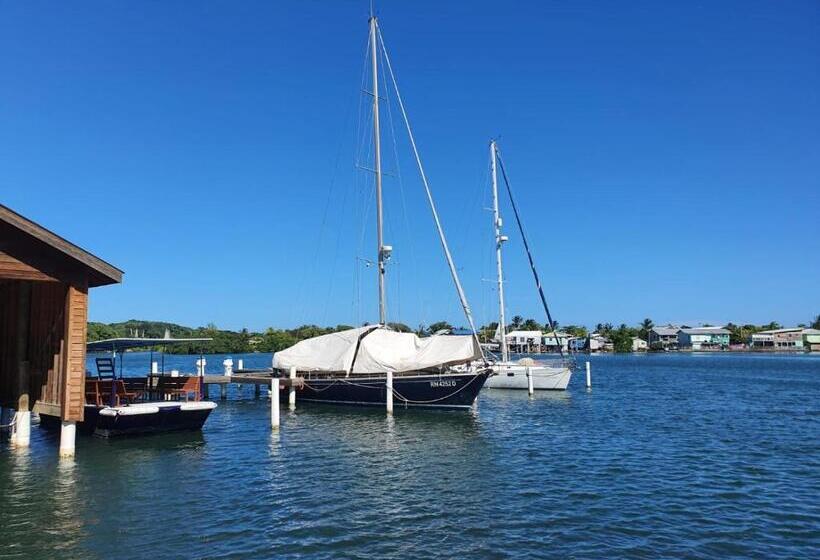 استودیو استاندارد با تخت کینگ, And Dive Center Roatan Yacht Club
