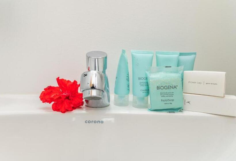 استودیو استاندارد با تخت کینگ, And Dive Center Roatan Yacht Club