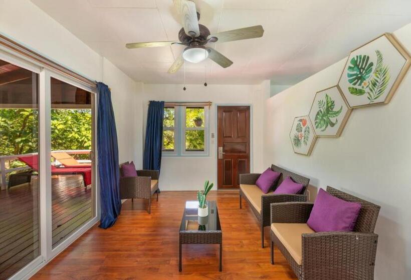 سوییت, And Dive Center Roatan Yacht Club