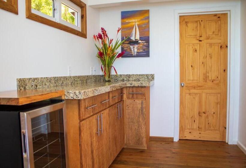 سوییت با چشمانداز دریا, And Dive Center Roatan Yacht Club