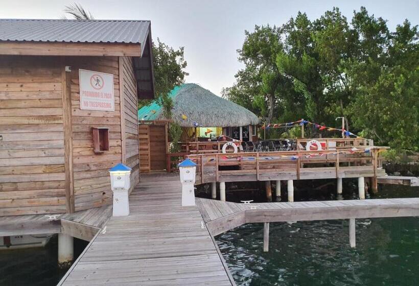 سوییت با چشم‌انداز دریا, And Dive Center Roatan Yacht Club