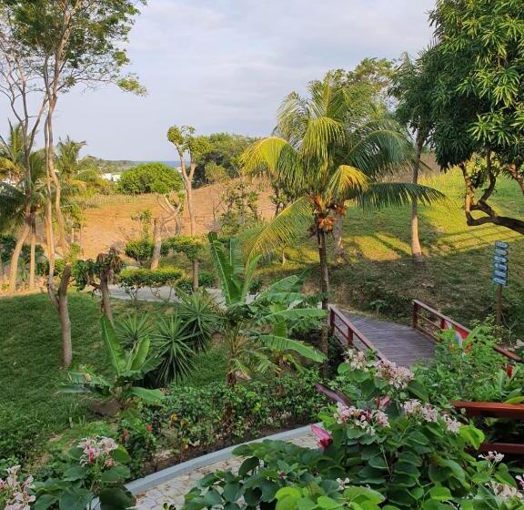 سوییت, And Dive Center Roatan Yacht Club