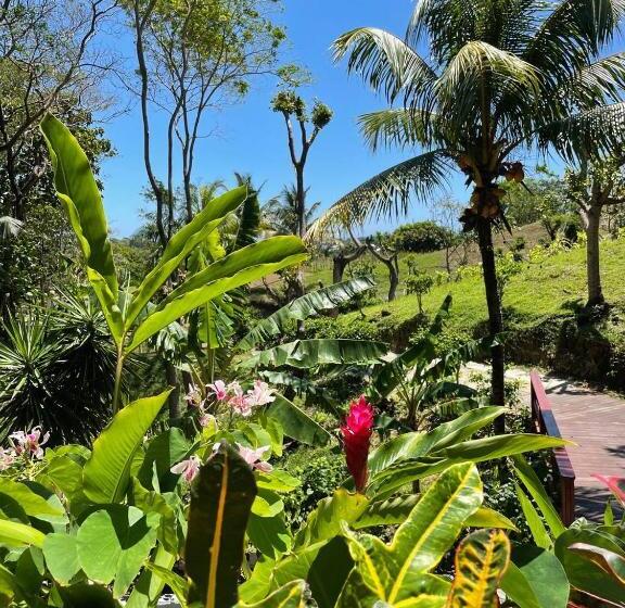 سوییت با چشمانداز دریا, And Dive Center Roatan Yacht Club