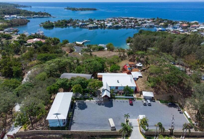 سوئیت با تخت بزرگ, And Dive Center Roatan Yacht Club