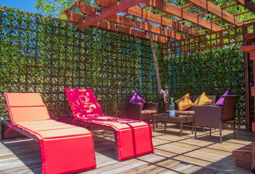 سوئیت با تخت بزرگ, And Dive Center Roatan Yacht Club