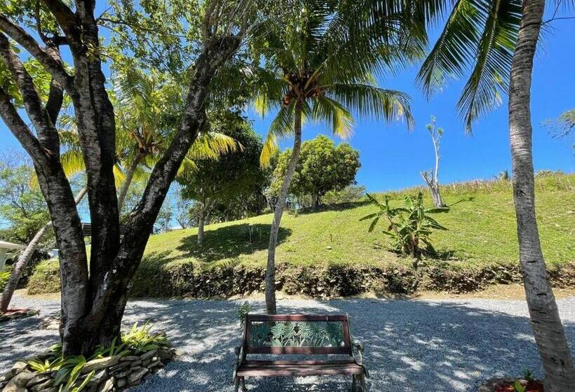 سوئیت با تخت بزرگ, And Dive Center Roatan Yacht Club