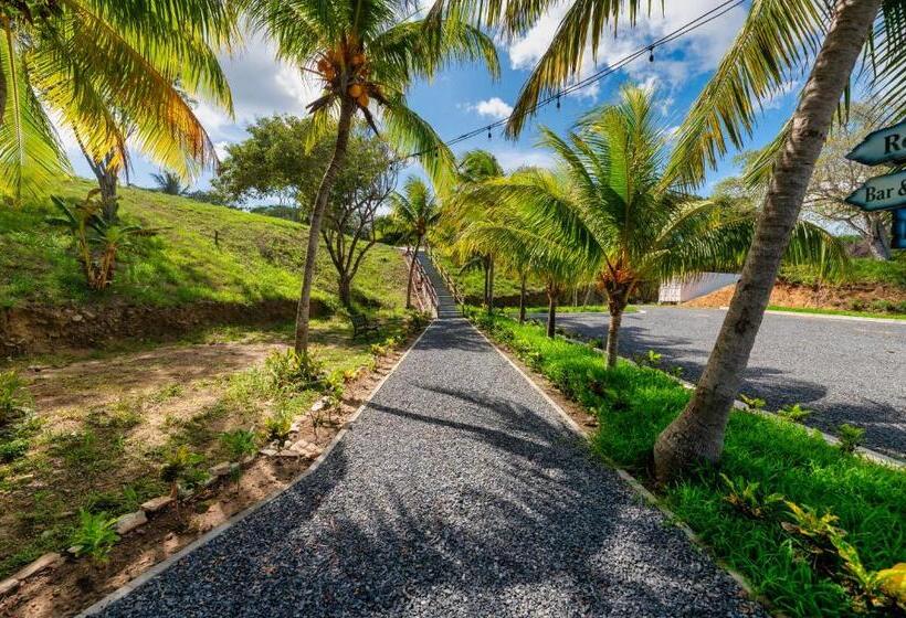 سوییت, And Dive Center Roatan Yacht Club