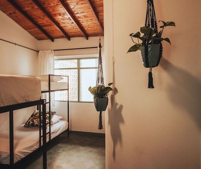 غرفة عائلية, Centro Hostel Medellin