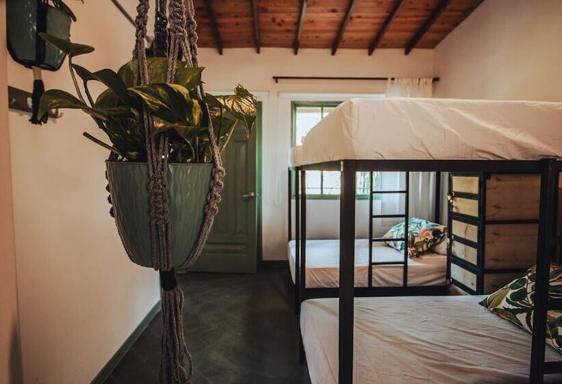 غرفة عائلية, Centro Hostel Medellin