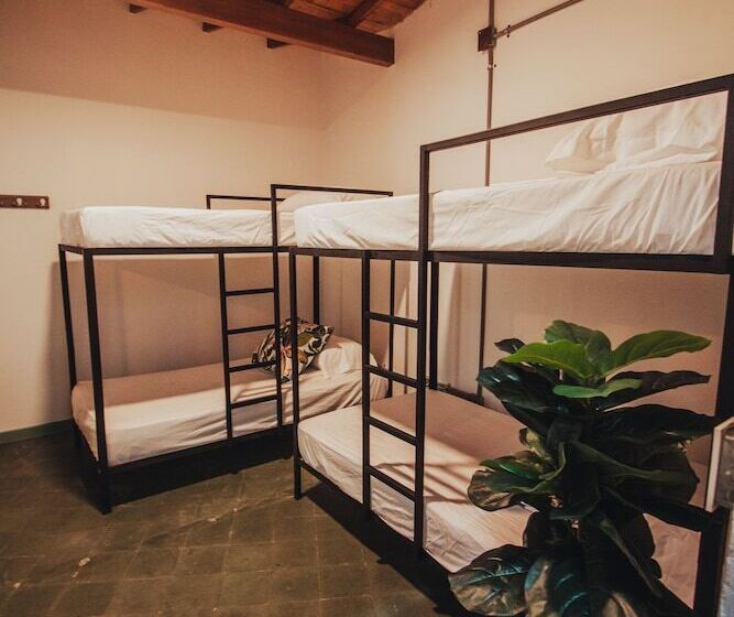 공동 객실, Centro Hostel Medellin