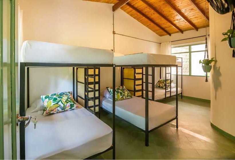 سرير فى غرفة مشتركه, Centro Hostel Medellin