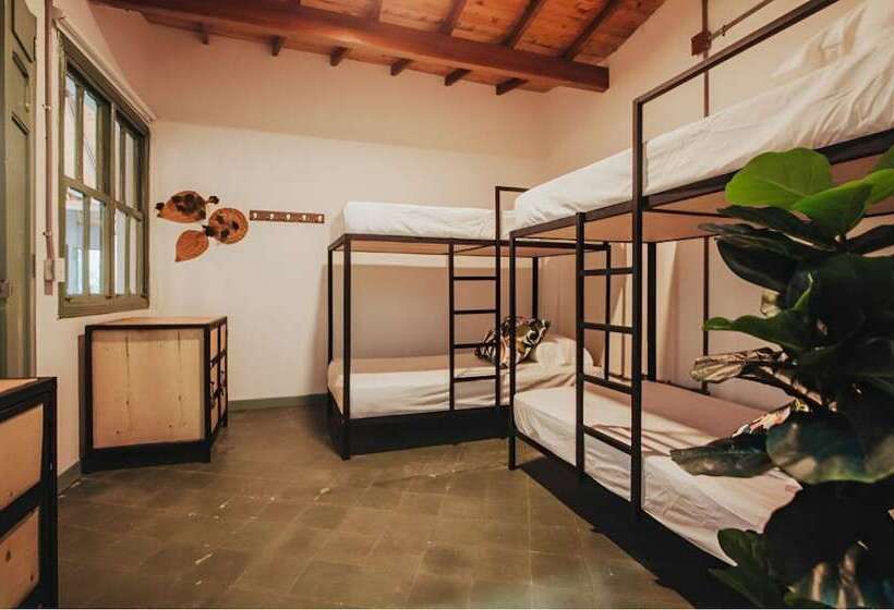 سرير فى غرفة مشتركه, Centro Hostel Medellin
