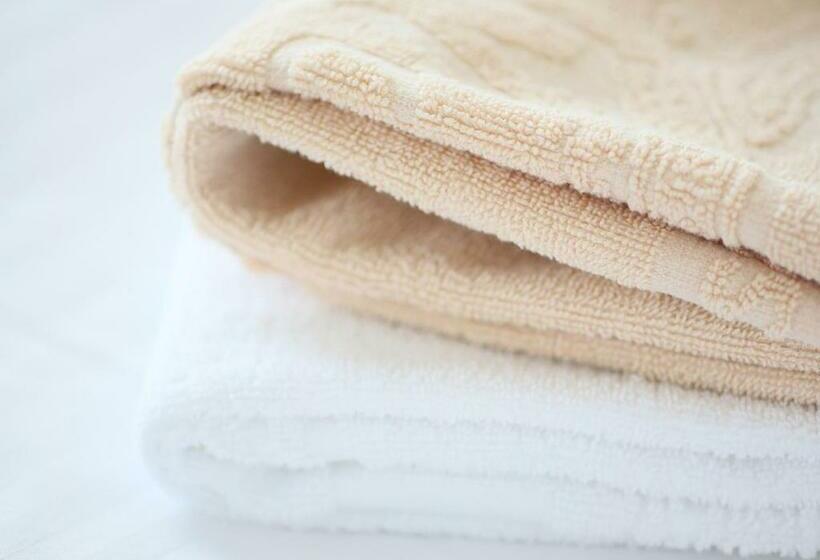 Номер Стандарт Индивидуальный, Apa Hotel <sapporo Odoriekimaenishi>