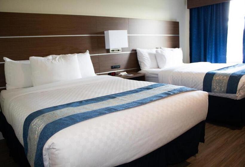 غرفة قياسية, L Oie Des Neiges