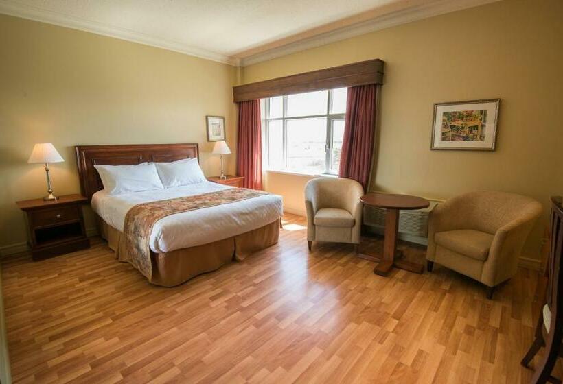 غرفة قياسية, L Oie Des Neiges