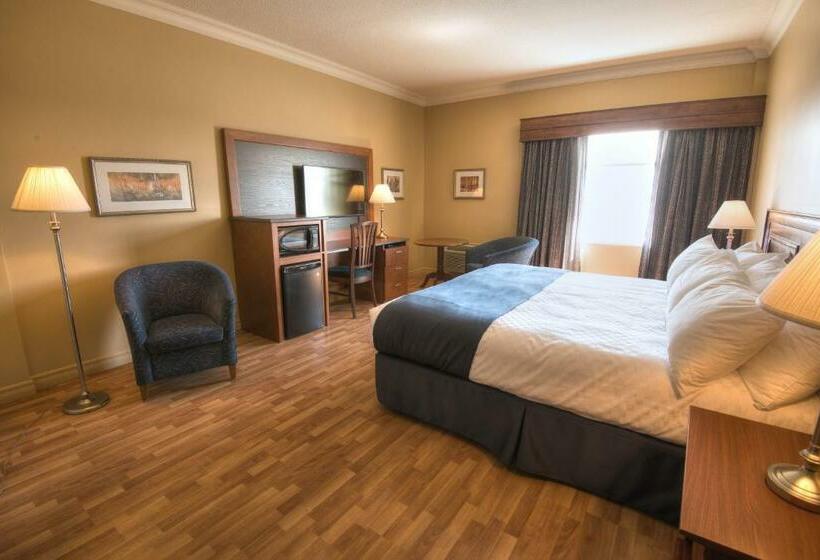 غرفة قياسية, L Oie Des Neiges