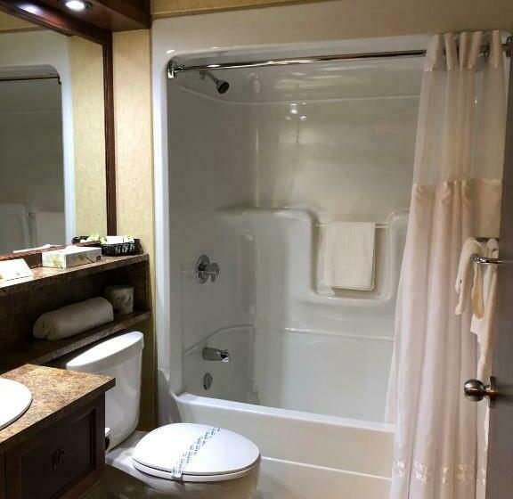 غرفة قياسية, L Oie Des Neiges