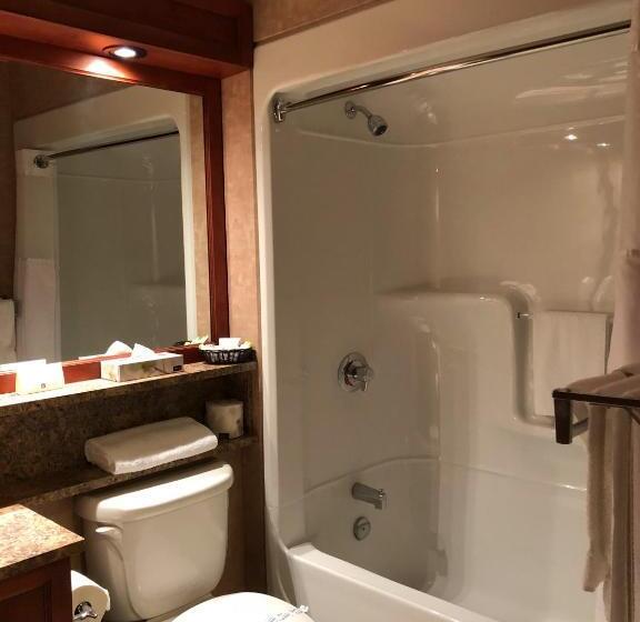 غرفة قياسية, L Oie Des Neiges