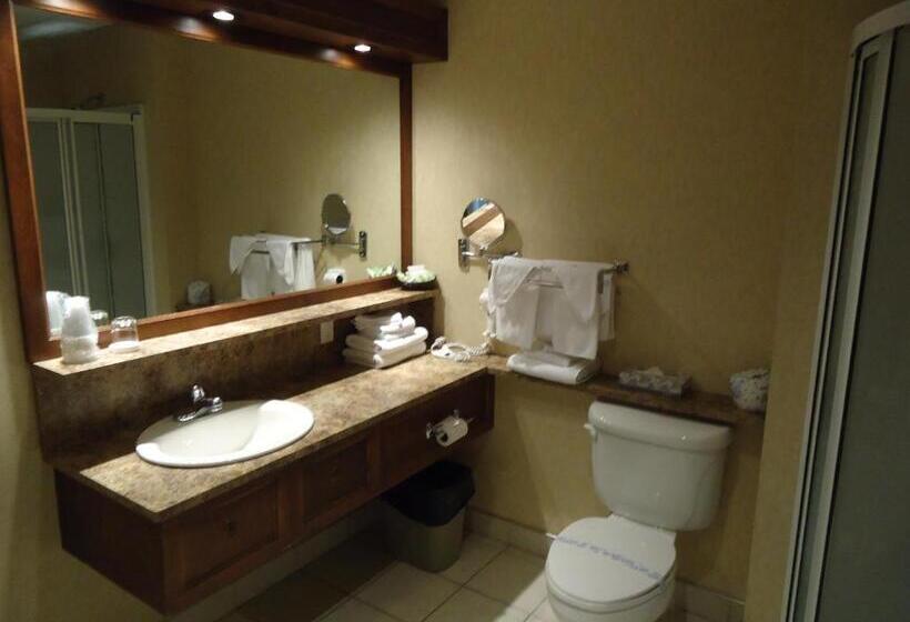 غرفة قياسية, L Oie Des Neiges