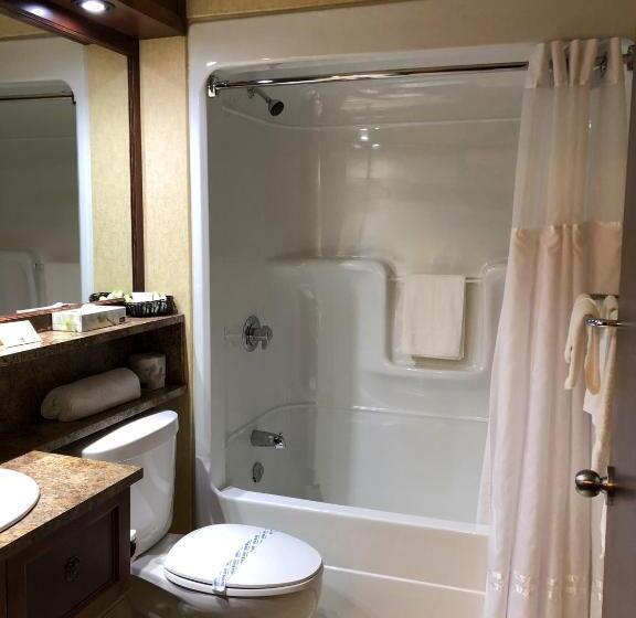 غرفة برستيج, L Oie Des Neiges