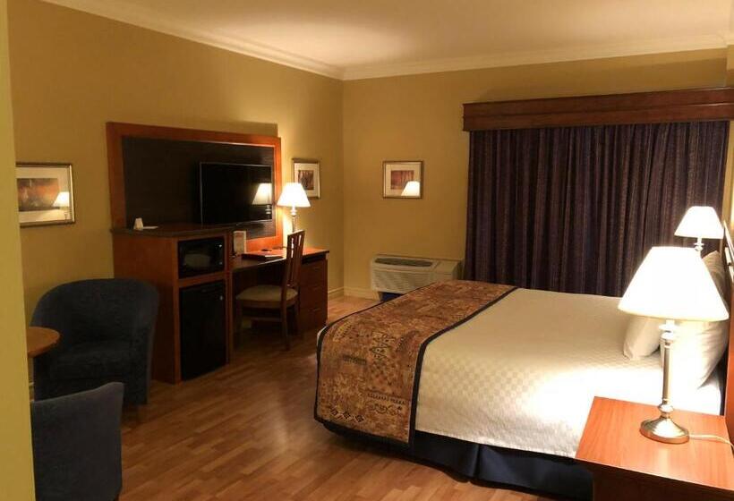 غرفة قياسية داخلية, L Oie Des Neiges