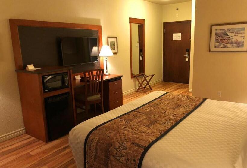 غرفة قياسية داخلية, L Oie Des Neiges