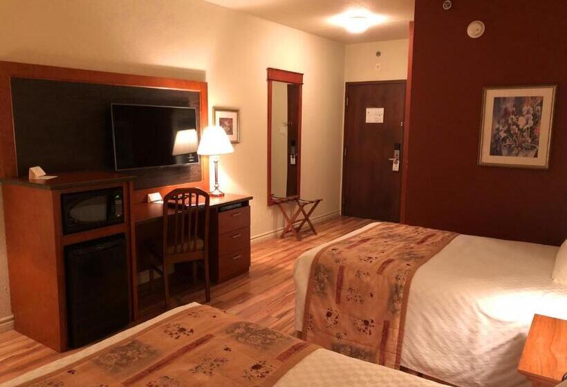 غرفة قياسية داخلية, L Oie Des Neiges