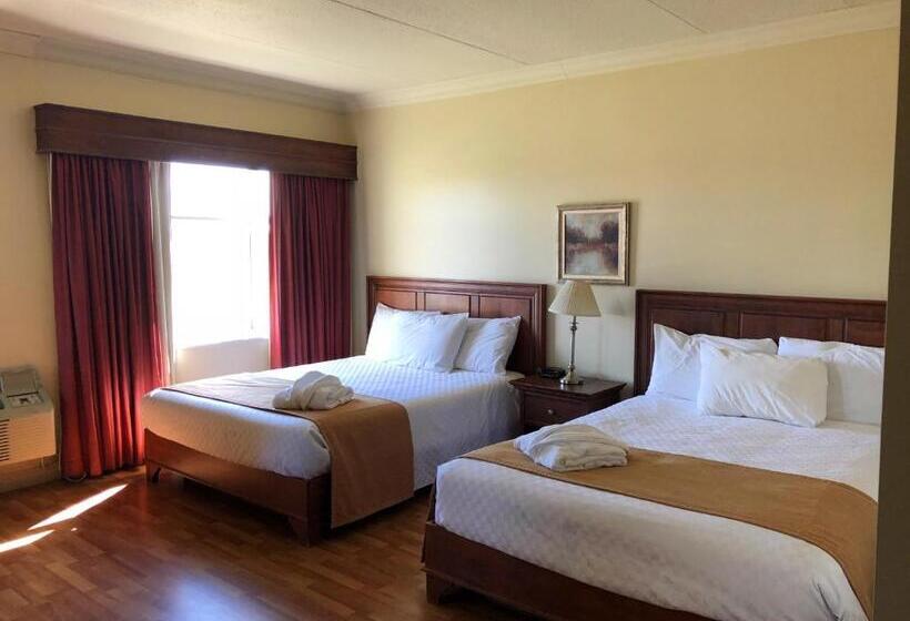 غرفة برستيج, L Oie Des Neiges