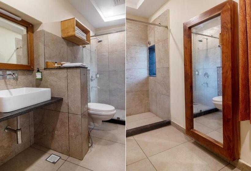 Standardrum, Treebo Megh Niwas, 2 Km From Umaid Bhawan Palace