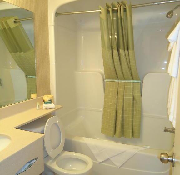 带大床的标准间, Super 8 By Wyndham Kingston