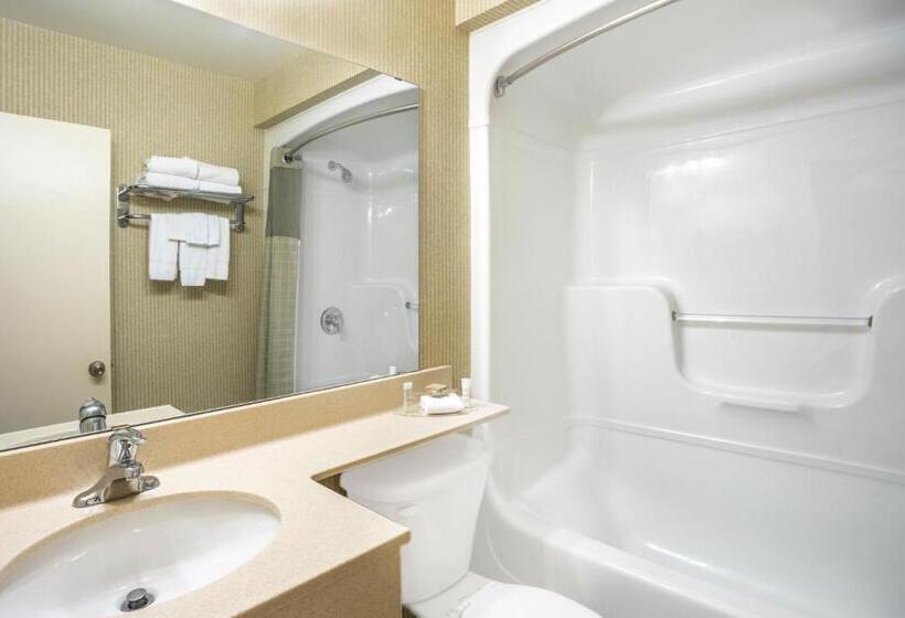 带大床的标准间, Super 8 By Wyndham Kingston