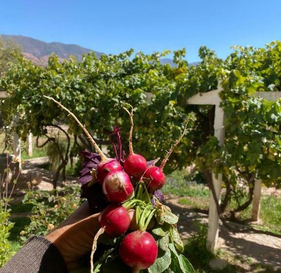 공동 객실, El Convento De Tilcara