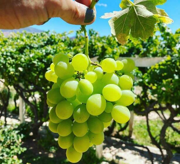 공동 객실, El Convento De Tilcara